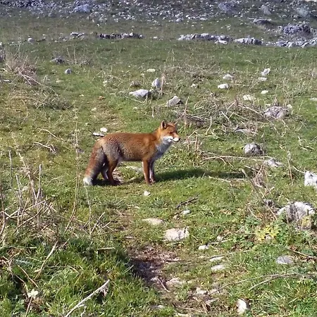 Natour L'ostello Per I Camminatori * Barisciano