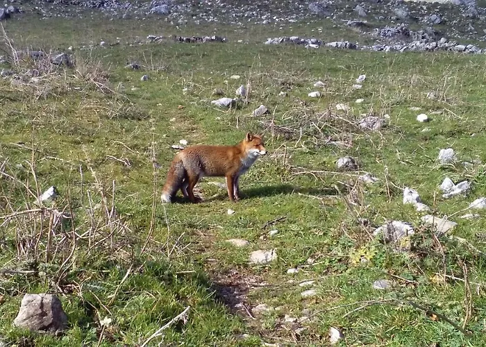 Natour L'ostello Per I Camminatori * Баришано