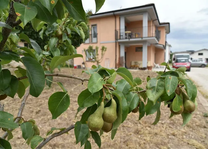 Гостевой дом Natour L'ostello Per I Camminatori Баришано